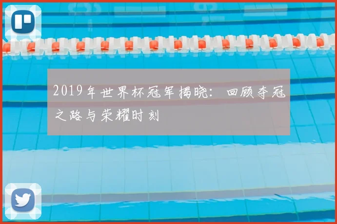 2019年世界杯冠军揭晓：回顾夺冠之路与荣耀时刻