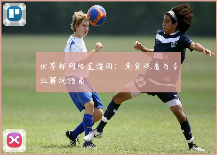 世界杯网络直播间:免费观看与专业解说指南