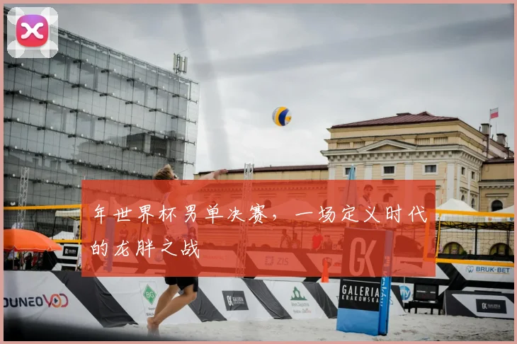 年世界杯男单决赛,一场定义时代的龙胖之战