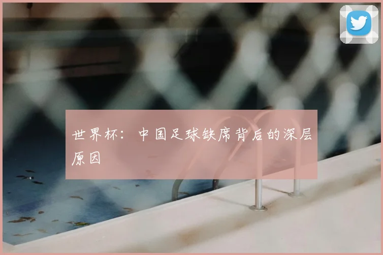 世界杯：中国足球缺席背后的深层原因