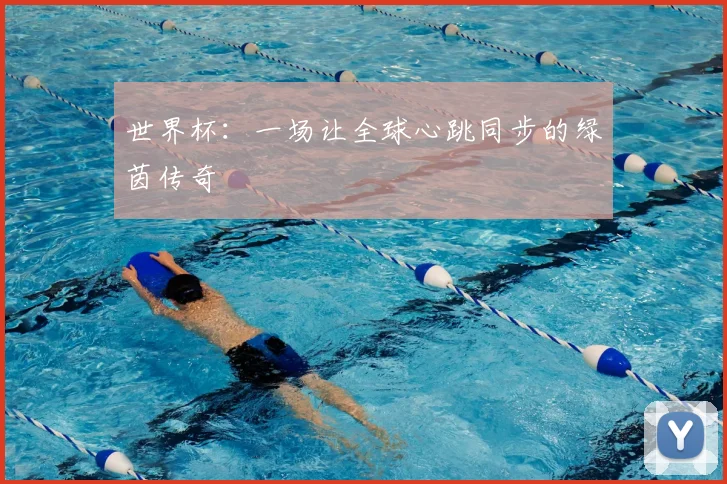世界杯：一场让全球心跳同步的绿茵传奇