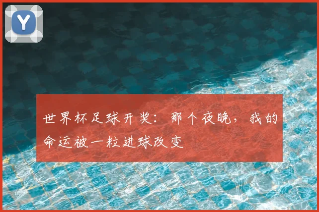世界杯足球开奖:那个夜晚,我的命运被一粒进球改变