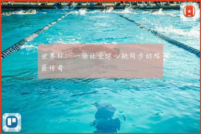 世界杯：一场让全球心跳同步的绿茵传奇