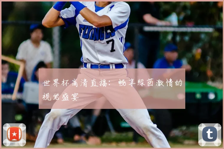世界杯高清直播:畅享绿茵激情的视觉盛宴