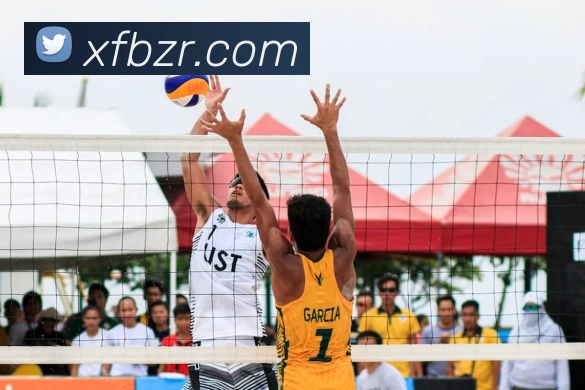 巅峰国际app登录入口平台生态图